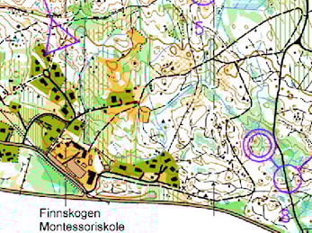 Anne-Grete nr.2 i Finndulten